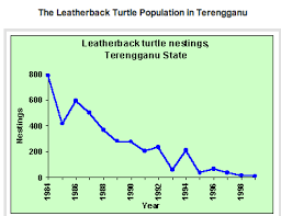 There skin is harmful to humans eat sponges hawksbill turtle are the smallest turtles of all species of turtles. Hawksbills Sea Turtles