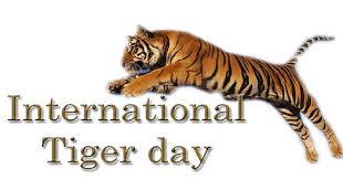 Tiger, al kaline, the next day, april 6, dan b. International Tiger Day 2020 Why The Day Is Important And How It Came Into Being Vision Times
