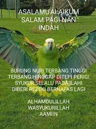 Pin Oleh Hashim Mohd Riduan Di Salam Kutipan Selamat Pagi Agama Selamat Pagi