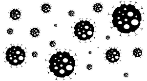 May 25, 2021 · symptoms of black fungus. Three Covid Patients Develop Black Fungus Lose An Eye Each Telegraph India