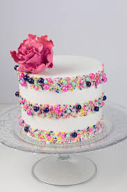 Sprinkle Stripes Cake Sprinkle Cake Striped Cake Cake Decorating