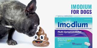 As a person diagnosed with ibs, any medication is hit or miss for me. Imodium For Dogs Dog Diarrhea Safety Dosage Top Tips Faq
