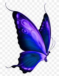 20,000+ butterfly images & pictures. Butterfly Color Purple Purple Butterfly Yellow And Purple Butterfly Purple Painted Violet Png Pngwing