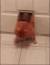 Fat Dog Stuck