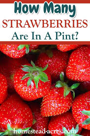 Fill a measuring cup with 1/4 cup vinegar and 1 1/2 cup of water. Strawberry Measures And Equivalents That Make Cooking Easier Homestead Acres