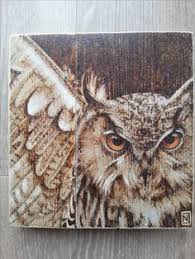 One of the best parts of wood burning is that you can easily add personalization. Owl Burning Amazing Eyes Pyrography Art Wood Burning Art Wood Burning Patterns Stencil