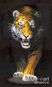 Pin By Aries Tony On Tigry Lvy I Dr Hishniki Lyudi I Hishniki Tiger Wallpaper Tiger Artwork Tiger Art