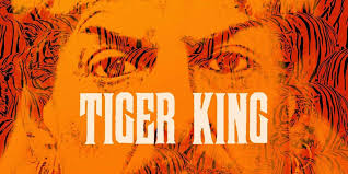 No matter how simple the math problem is, just seeing numbers and equations could send many people running for the hills. Cool Cats And Kittens Take Our Tiger King Quiz Film Daily