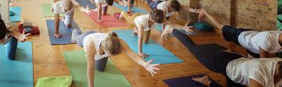 We did not find results for: News Yogafurdich Power Vinyasa Flow Yoga In Berlin
