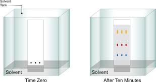 What are the types of thin layer chromatography? Hplc High Performance Liquid Chromatography Explained Waters