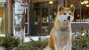 The film, directed by seijirō kōyama, is a tragic, true story about. Hachiko A Dog S Story Netflix
