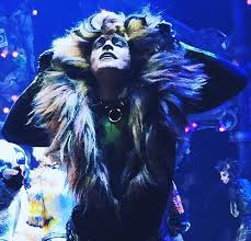 What's the buzz on broadway? Tyler Hanes As Rum Tum Tugger 2016 2017 Broadway Revival Of Cats Cat Movie Jellicle Cats Pretty Cats