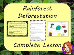 Rainforest Deforestation Complete Steam Lesson Rainforest Deforestation Deforestation Steam Lessons