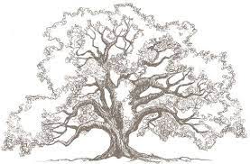33 super idees de dessins d arbres pour apprendre a dessiner un arbre en 2021 dessin comment fleur coloriage imprimable quiz