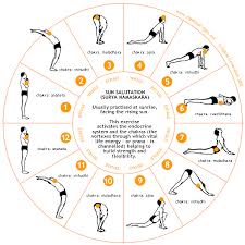 Pin By Sara Z On Cute Yoga Routine For Beginners Morning Yoga Morning Yoga Routine