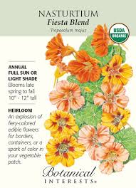 Pin On Birds N Ideas