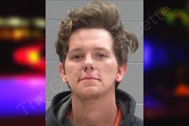 Kelton Brown — Baldwin County Jail Bookings