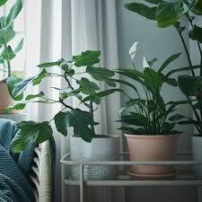 Kelkoo ti aiuta a confrontare le offerte di vasi da giardino dei migliori negozi online affinché tu possa. Chiafron Portavasi Da Interno Esterno Bianco 15 Cm Ikea It