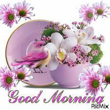 Best good morning hd images, wishes, pictures and greetings. Pink Cup And Saucer Filled With Pink And White Flowers Flashing Pink Daises A Pink Bird And Good Morning In Pink Picmix