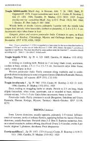 Image result for Tragia hildebrandtii