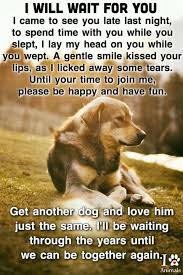 Pin By Patty Webster On Dogs Dog Loss Quotes Dog Quotes Pet Loss Quotes