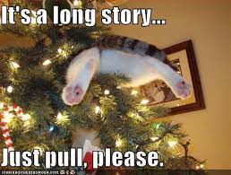 15 Holiday Memes Cat Lovers Can Relate To