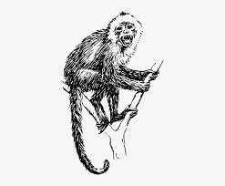 Free Free 187 Monkey Svg Free SVG PNG EPS DXF File