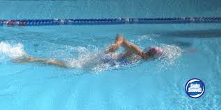 Search, discover and share your favorite olympics gifs. Swim Gifs Get The Best Gif On Gifer