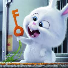 Best Cute Ipad Wallpapers Hd 2020 Ilikewallpaper