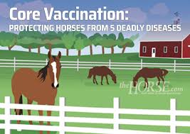 Core Vaccination Protecting Horses From 5 Deadly Diseases