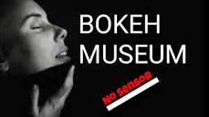 2.08 mb 67,8765 bulan yang lalu. Video Bokeh Museum No Sensor Full Youtube