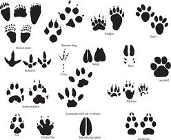 As it is a best friend to a check out the most amazing paw print tattoo designs on our blog. 19 Leopard Paw Prints Tattoo Designs Images And Pictures