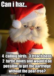 Maybe you would like to learn more about one of these? Lolcats Christmas Lol At Funny Cat Memes Funny Cat Pictures With Words On Them Lol Cat Memes Funny Cats Funny Cat Pictures With Words On