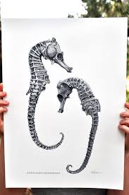 Lovely Seahorses Natural History Drawing A4 Print History Drawings Seahorse Drawing Skeleton Drawings