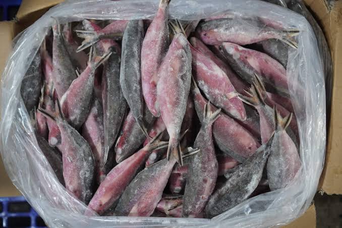 3 loại cá KHÔNG NÊN ĂN kẻo nạp toàn kháng sinh, kim loại nặng vào người