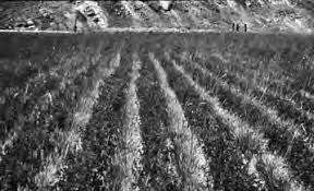 frontmatter_Layout 1