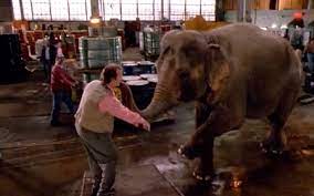 With bill murray, matthew mcconaughey, jerry adler, richard alan baker. What To Watch Comedic Timing In Larger Than Life 1997 That Moment In