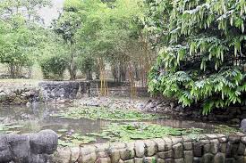 There is also the infamous stairs to heaven for those to do their stairs training. Bukit Jalil Recreational Park The Star