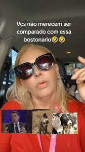 Pedindo Desculpas aos Jumentos