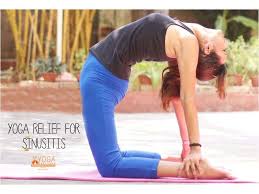 Online courses are subject to eligibility criteria and qualification. Yoga Relief For Sinusitis The Yoga Institute
