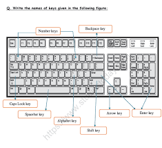 However, you can thank some of name the answers to these science bowl questions. Cbse Class 2 Computers Practice Keyboard Worksheet Practice Worksheet For Computer
