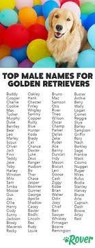 52 Big Dog Names Ideas Names Dog Names Big Dog Names