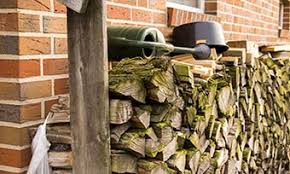 Apply to babysitter/nanny, activity assistant and more! What Attracts Termites To My House In Santa Fe Albuquerque