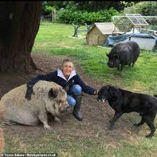 Ingrid tarrant is a published author. Chris Tarrant S Ex Wife Ingrid Reveals How She Swapped Her Husband For Three Pigs Daily Mail Online