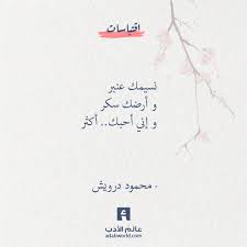 نسيمك عنبر و أرضك سكر و إني أحبك أكثر محمود درويش اقتباسات شعر غزل محمود درويش Arabic Quotes With Translation Cool Words Arabic Quotes
