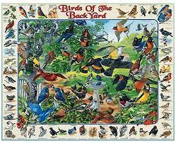 Birds pollinate our plants, control bugs and pests, and even provide fertilizer for gardens and. Amazon Com White Mountain Puzzles Birds Of The Backyard 1000 Piece Jigsaw Puzzle Toys Games