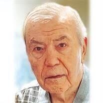 Search Peter Wild Obituaries and Funeral Services