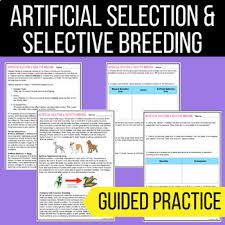 You will receive your score and answers at the end. Artificial Selection Worksheets Teaching Resources Tpt