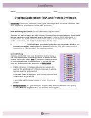 25) some events that take place during the synthesis of a specific protein are listed below. Rnaproteinsynthesisse 1 Docx Name Date Student Exploration Rna And Protein Synthesis Vocabulary Amino Acid Anticodon Codon Gene Messenger Rna Course Hero