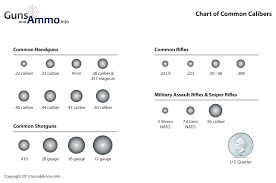 65 Explicit Centerfire Bullet Size Chart